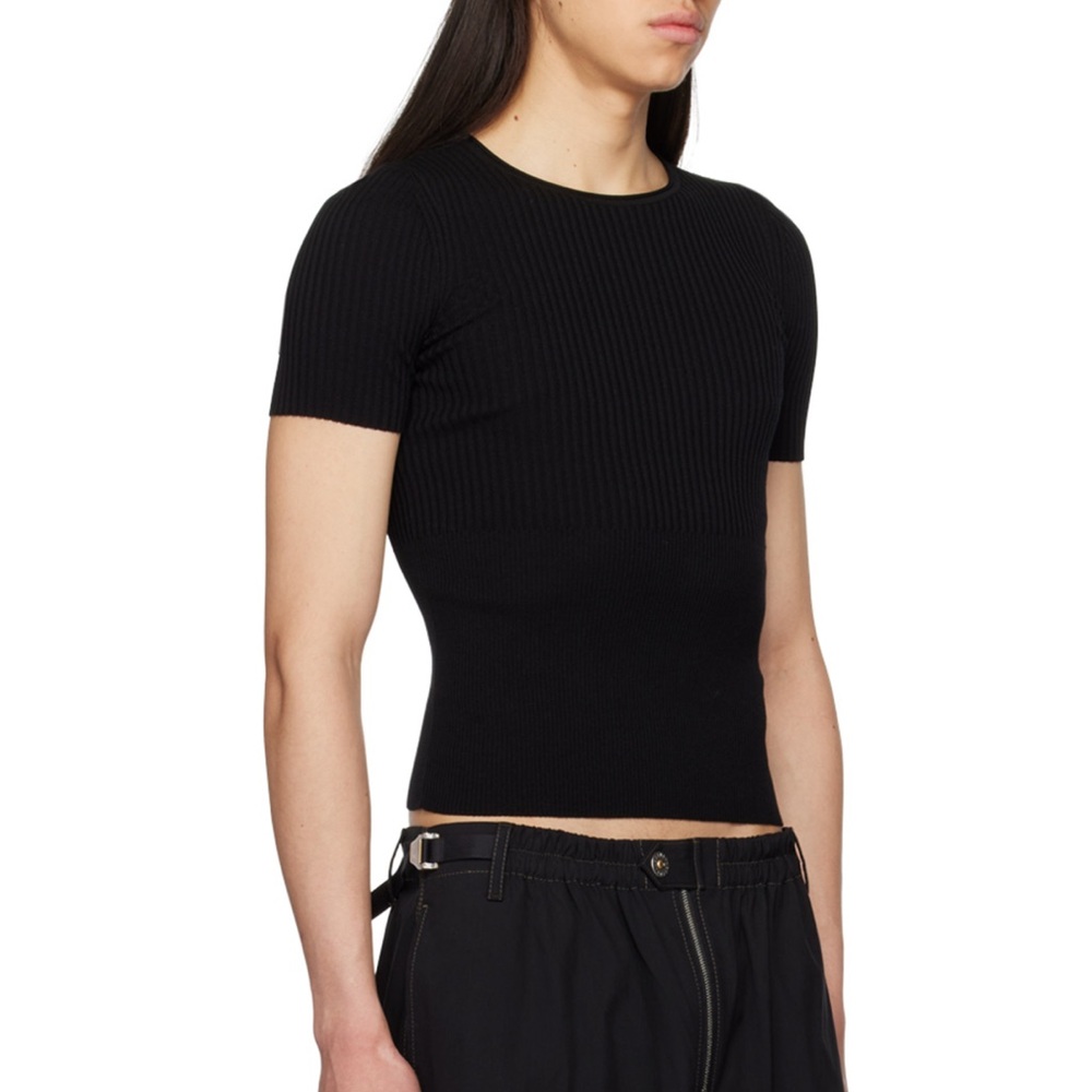 Dion Lee Black Gradient Rib T-Shirt - Picture 2 of 6